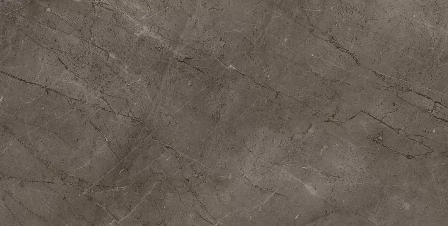 Gris Mramor Versace Gold (60x120) RP-91894 RP-91894