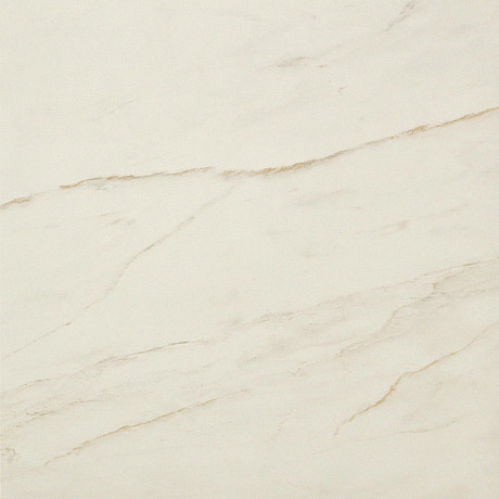 Керамогранит Marvel Cremo Delicato (60x60) AVGD