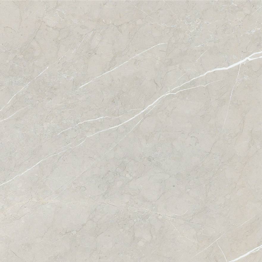 Керамогранит 2550 BB6NTT9101P (60x60) BB6NTT9101P