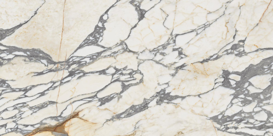 Керамогранит Epoque 21 Arabescato Ant PF60009341 (60x120) PF60009341