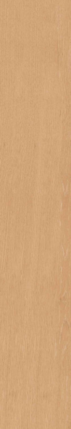 Керамогранит CW04 (19,4x120x10) непол. рект. CW 04 CW 04