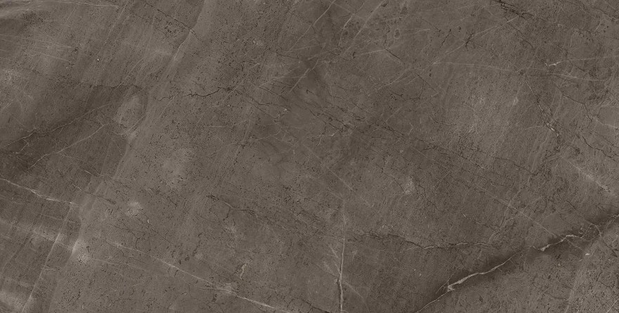 Gris Mramor Versace Gold (60x120) RP-91894 RP-91894