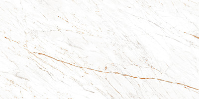 Керамогранит Nero White (60х120)