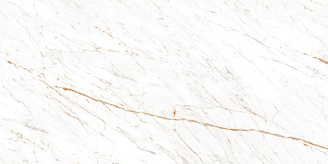 Керамогранит Nero White (60х120)