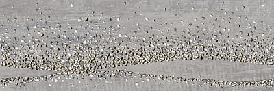 Декор Wizard DWU93WZR71R (30x90)