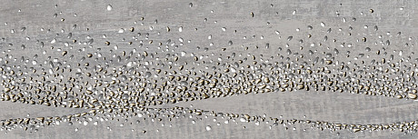 Декор Wizard DWU93WZR71R (30x90)