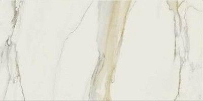Керамогранит Cal.Gold Chain B Matte Ret (120x240) 753286