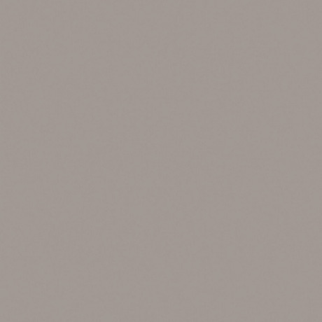 Керамогранит RW03 непол. (30x30)