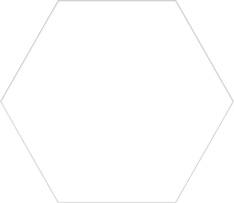 Керамогранит Basic White Hex25 (25x22)