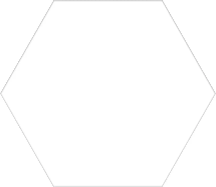 Керамогранит Basic White Hex25 (25x22) F7908
