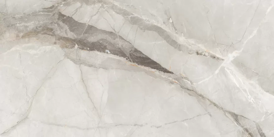 Fish Maw Ash Digital Carving 60x120 KSW612DG008