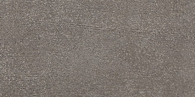 Настенная плитка Bronx Iron Azulejo (25x50)