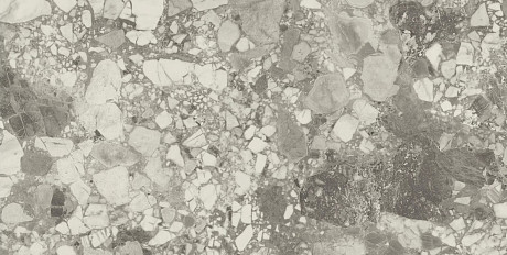 Керамогранит Forte Dei Marmi Ceppo Ap. Pearl Rett (80x160) 610010002714