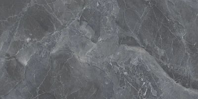 Керамогранит 1147 glossy (60х120) MPL-058740