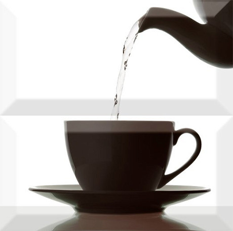 Декор Composicion Japan Tea 02 (20х20)