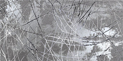 Декор Bright Silver (60x120) BRAS12