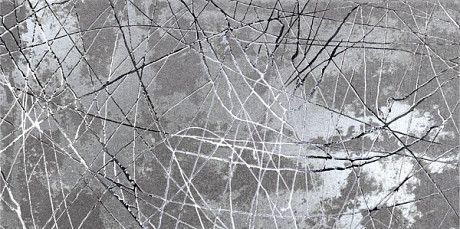 Декор Bright Silver (60x120) BRAS12