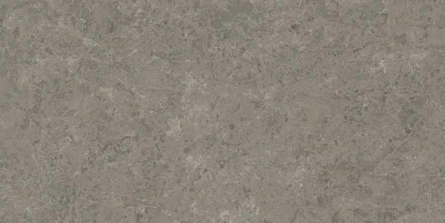 Керамогранит Marvel Meraviglia Grigio Elegante Lapp. AJIA (120x240) AJIA