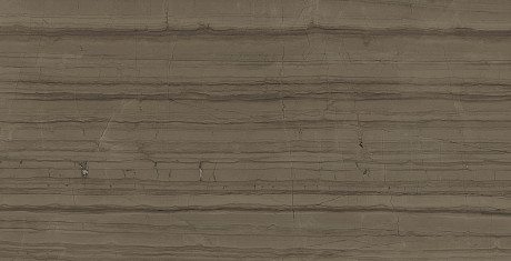Керамогранит Charme Advance Elegant Brown (80x160)Lux 610015000592