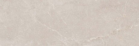 Керамическая плитка Taupe (40x120) 815