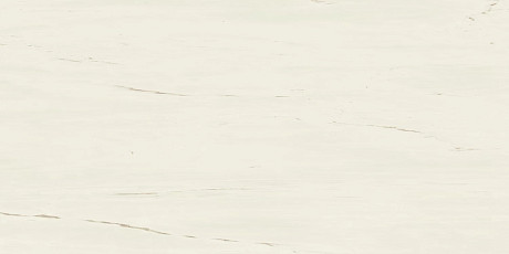 Керамогранит Marvel Bianco Dolomite (60x120) A21C