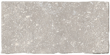 Керамогранит Rue d.s.cloud greige RUE222 (10x20)