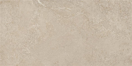 Керамогранит Arenite Natural Matt. (59.5x120) N30102