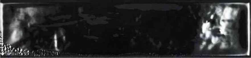 Rev.Asly black (7.5x30)