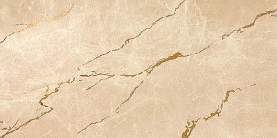 Marvel Elegant Sable Gold Vein 1 (40x80) 8ES1