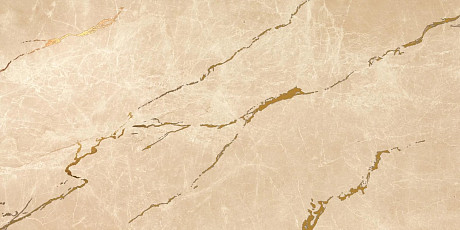Marvel Elegant Sable Gold Vein 1 (40x80) 8ES1