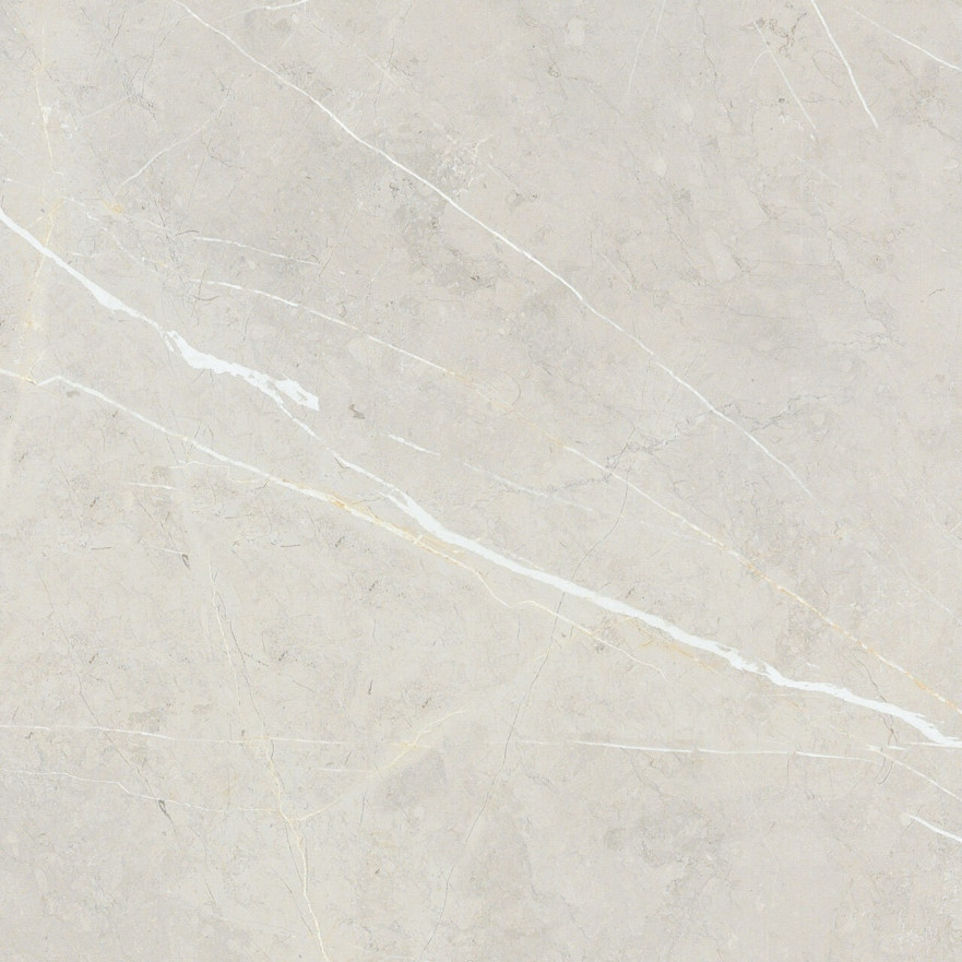 Керамогранит 2550 BB6NTT9101P (60x60) BB6NTT9101P