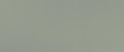 Керамическая плитка Aplomb Lichen Minidots (50x120) A6IL