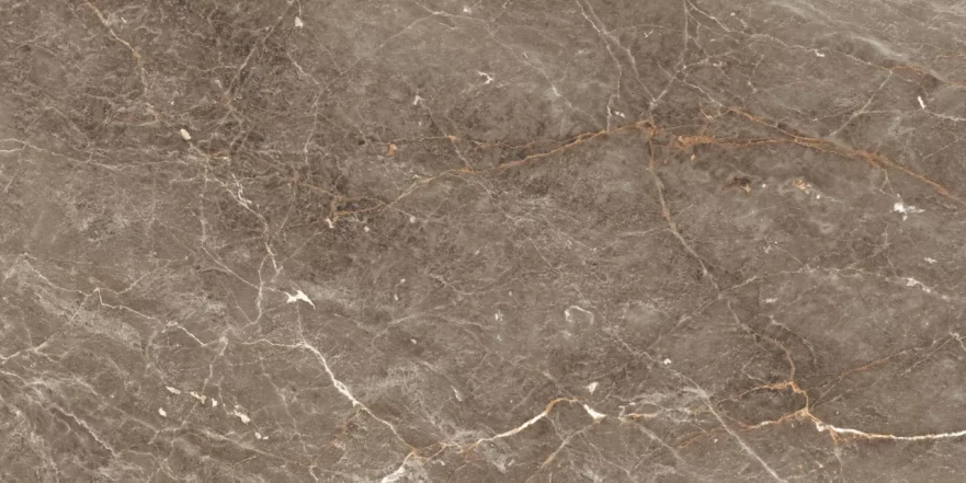 Istanbul Sepia Glossy 120x60 RP-160240