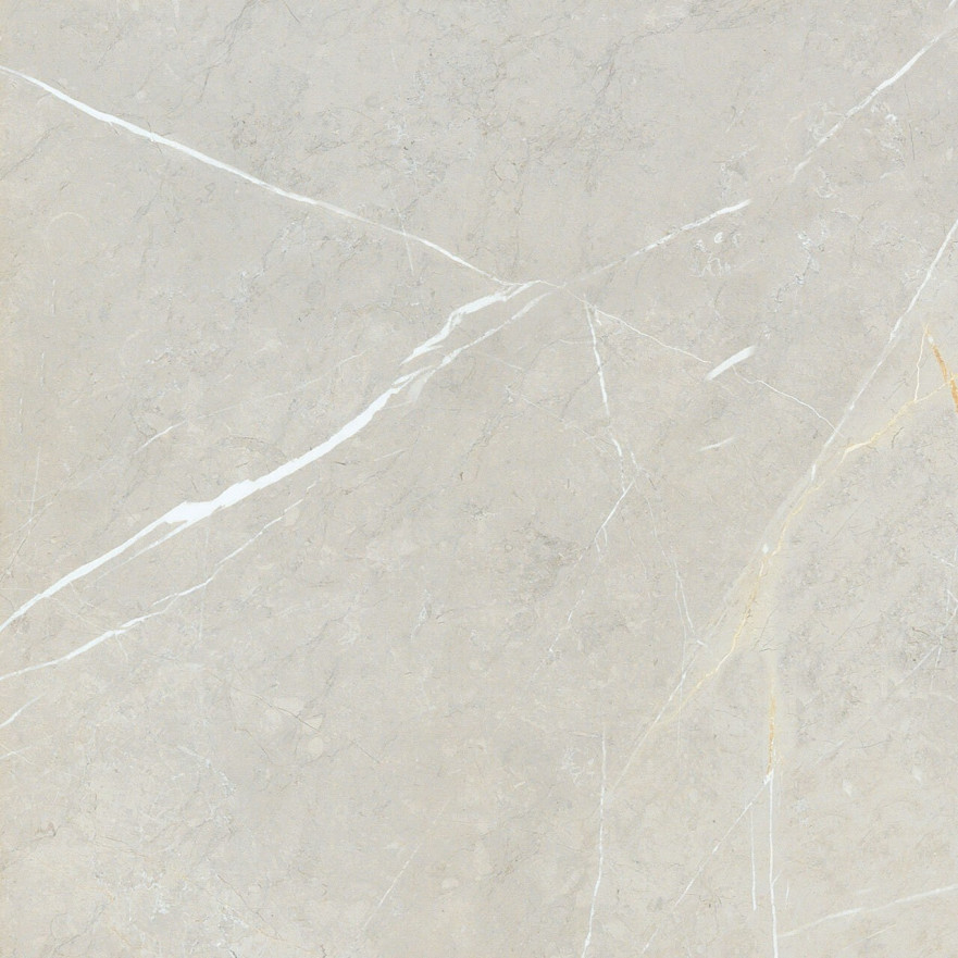 Керамогранит 2550 BB6NTT9101P (60x60) BB6NTT9101P