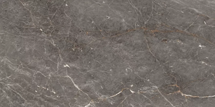 Istanbul Argenta Glossy 120x60 RP-160238