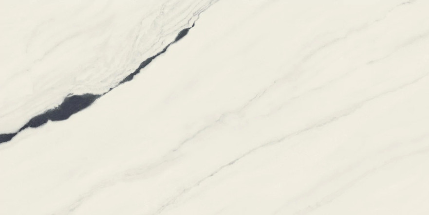 Керамогранит Forte Dei Marmi Panda White Rett Cer (60x120) 610015000656 610015000656