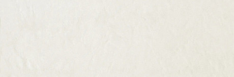 Керамическая плитка Prowall white PWL010 (25x75)