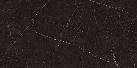 Керамогранит Nero Marquina Polished (160x320) AJKW
