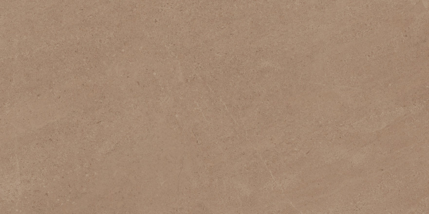 Керамогранит GO01 непол. рект. (60x120) GO 01 GO 01