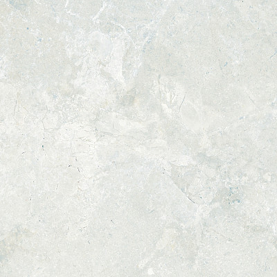 Керамогранит Legend Серо-Бежевый (60x60) E-5000