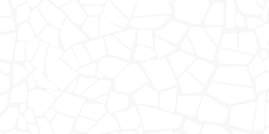 Плитка настенная Smalta White (24.9x50) WT9SML00 WT9SML00