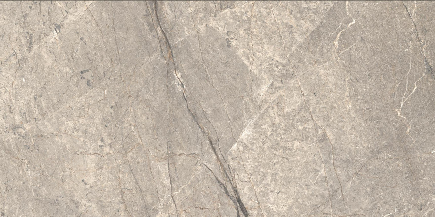 Керамогранит Anima Futura Amazing Silver Matt (60х120)