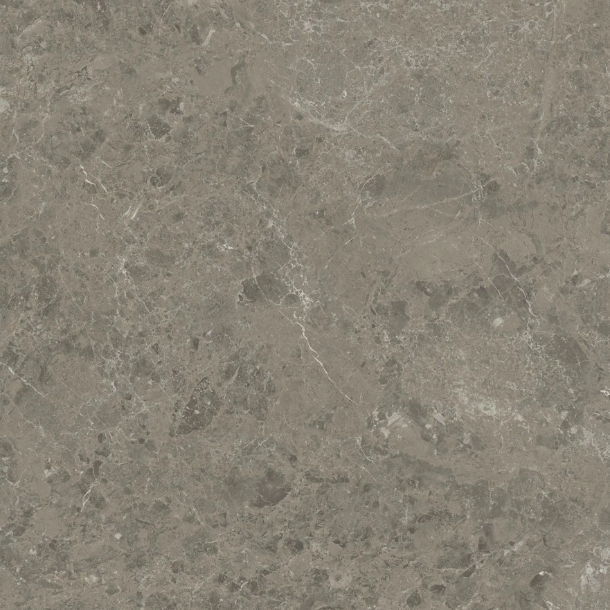 Керамогранит Marvel Meraviglia Grigio Elegante AJJD (60x60) AJJD