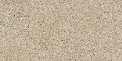 Керамогранит NP02 (30,6x60,9x8) непол.