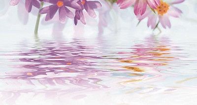 Декор Magik Decorado Eros B Blanco (31.6х59.34)