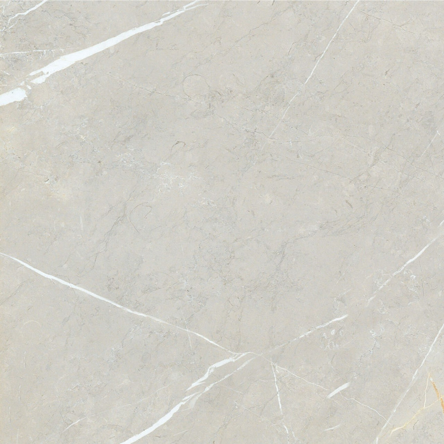 Керамогранит 2550 BB6NTT9101P (60x60) BB6NTT9101P