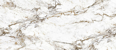 Керамогранит BRECCIA TORTONA LAP RT (120x278) EB1A