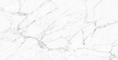 Керамогранит STATUARIO FINE GLOSSY R (60x120) ROL83955