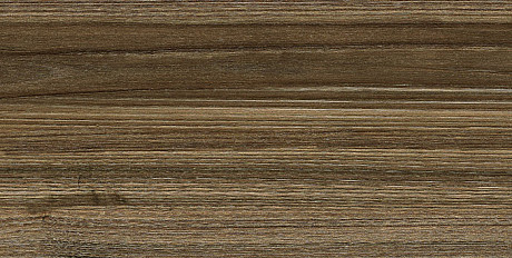 Настенная плитка Essense Brown (24.9x50) WT9ESS08