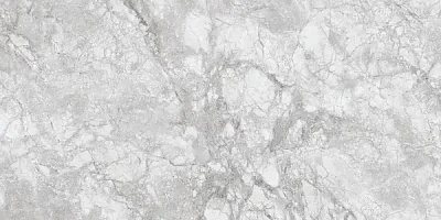 Керамогранит 230167 Polar Grey Polished 60x120